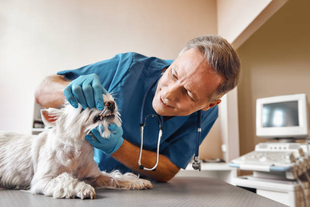 Best Emergency Dental Care for Trauma or Injury in Lower Grand Lagoon, FL