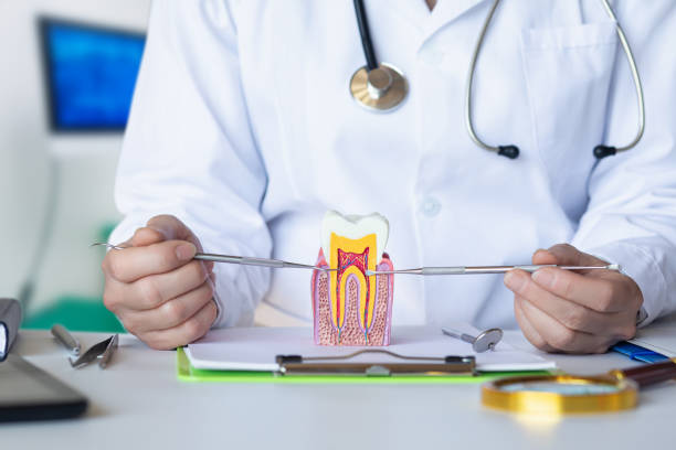 Best Emergency Orthodontic Repairs in Lower Grand Lagoon, FL